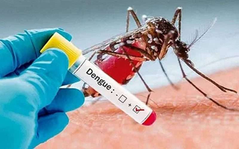 डेंगूको सङ्क्रमणबाट इलाममा एक व्यक्तिको मृत्यु