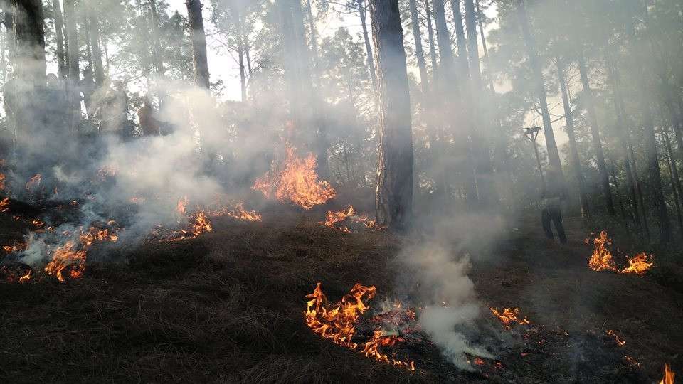 सुक्खा मौसममा डढेलो लाग्न नदिउ…..